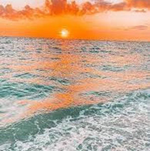 Meet your Posher, Laylasftbll